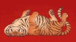  animal animal_focus closed_eyes facing_viewer highres nishimawari_kouro no_humans original red_background simple_background sleeping solo tiger upside-down 