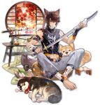  1boy animal_ears bandages blue_eyes brown_hair dog full_body highres holding holding_sword holding_weapon katana looking_at_viewer mahjong_soul male_focus official_art shirt short_hair sitting solo sword tachi-e tail torn_clothes torn_shirt weapon wolf_boy wolf_ears wolf_tail yostar zechs_(mahjong_soul) 