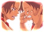 monkey_d_luffy one_piece portgas_d_ace tears young 