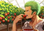  1boy between_fingers bowl bush commentary_request earrings eating flower food fruit green_hair highres holding holding_bowl holding_food holding_fruit jewelry lower_teeth male_focus oekakiboya one_piece open_mouth roronoa_zoro shirt short_hair solo strawberry strawberry_blossoms teeth upper_teeth 