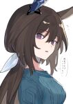  1girl absurdres admire_vega_(umamusume) animal_ears bangs breasts brown_hair ear_covers from_side highres horse_ears horse_girl jewelry large_breasts long_hair looking_at_viewer low_ponytail necklace open_mouth potato_(potato_621) solo sweater translation_request umamusume upper_body violet_eyes white_background 