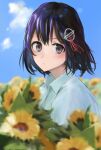  1girl 73suke absurdres black_hair blue_sky blurry brown_eyes clouds collared_shirt commentary_request day depth_of_field dress_shirt flower haguro_(kancolle) hair_ornament highres kantai_collection looking_at_viewer outdoors shirt short_hair sky solo sunflower upper_body white_shirt 