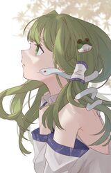  1girl absurdres bangs bare_shoulders detached_sleeves frog_hair_ornament from_side green_hair hair_ornament hair_tubes highres japanese_clothes kochiya_sanae long_hair nontraditional_miko parted_lips simple_background snake_hair_ornament solo tegral touhou upper_body white_background white_sleeves 