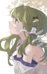  1girl bangs detached_sleeves frog_hair_ornament from_side green_hair hair_ornament hair_tubes highres kochiya_sanae long_hair parted_lips simple_background snake_hair_ornament solo tegral touhou upper_body white_background 