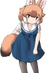  1girl animal_ears black_pantyhose blue_bow blue_bowtie blue_dress blush bow bowtie dhole_(kemono_friends) dog_ears dog_girl dog_tail dress green_eyes highres kemono_friends kemono_friends_3 light_brown_hair multicolored_hair official_alternate_costume pantyhose plaid plaid_bow plaid_bowtie sailor_collar school_uniform short_hair short_sleeves solo tail two-tone_hair uf34a white_hair white_sleeves 