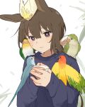  1girl admire_vega_(umamusume) animal_ears animal_on_arm animal_on_head animal_on_shoulder bangs bird bird_on_arm bird_on_head bird_on_shoulder brown_hair closed_mouth commentary_request cup edbr1022 hair_between_eyes highres holding holding_cup light_blush long_hair long_sleeves on_head parrot solo sweatdrop sweater umamusume upper_body white_background 