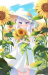  1girl absurdres bangs blue_eyes blue_sky blush commentary_request dress flower hat hat_ribbon highres holding holding_flower isoroku_(isrk) leaf long_hair looking_at_viewer original outdoors petals ribbon sky sleeveless sleeveless_dress solo standing straw_hat sun_hat sundress sunflower sunflower_petals very_long_hair white_dress white_hair 