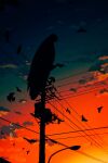  1other bird clouds crow feathered_wings full_body gradient gradient_background highres lamppost leg_up no_humans original power_lines silhouette solo sunset suzumori_521 talons utility_pole wings 