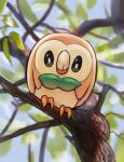  bird blurry branch bright_pupils closed_mouth commentary_request day highres in_tree leaf looking_at_viewer no_humans notdes1re_(tbot7) outdoors pokemon pokemon_(creature) rowlet solo tree white_pupils 