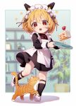 1girl apron black_dress black_socks blonde_hair blurry blurry_background bow bowtie cake cake_slice cat cross-shaped_pupils dress food full_body headgear highres holding holding_plate kneehighs long_sleeves looking_at_viewer maid maid_headdress mi-a_(tower_of_fantasy) open_mouth orange_eyes plate poponpo294111 red_bow red_bowtie shoes short_hair socks solo tower_of_fantasy white_apron white_footwear 