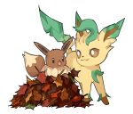  :d autumn_leaves black_eyes brown_eyes closed_mouth eevee grey_background happy leafeon looking_at_another mjoyart no_humans open_mouth pokemon pokemon_(creature) simple_background smile standing 