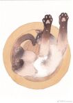  animal_focus animal_hands arms_up bucket cat from_above full_body highres in_bucket in_container junsun looking_at_viewer lying no_humans on_back original stretching traditional_media weibo_logo weibo_username white_background 