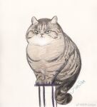  animal_focus cat chair frown full_body graphite_(medium) junsun no_humans original plump standing traditional_media weibo_logo weibo_username white_background 