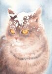  animal_focus cat colored_sclera full_body highres junsun no_humans orange_sclera original simple_background snow snow_on_head traditional_media upper_body whiskers wide-eyed 