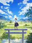  1girl black_ribbon black_skirt blush brown_hair clouds cloudy_sky fjsmu grasslands hat highres looking_at_viewer looking_back mountainous_horizon nature neck_ribbon outdoors pom_pom_(clothes) puffy_short_sleeves puffy_sleeves red_eyes red_footwear red_headwear reflection ribbon scenery shameimaru_aya shirt shoes short_hair short_sleeves skirt sky solo tokin_hat torii touhou tree water white_shirt 