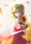  1girl alternate_costume blurry blurry_foreground bow closed_mouth dress flower flower_on_head green_hair kazami_yuuka looking_at_viewer red_dress red_eyes shironeko_yuuki short_hair sleeveless sleeveless_dress solo sunflower touhou upper_body white_background white_bow 