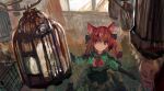  1girl :3 animal_ears bird bow braid cage cat_ears dress from_above green_dress hair_bow indoors kaenbyou_rin onion_(onion_and_pi-natto) red_eyes redhead solo touhou twin_braids 