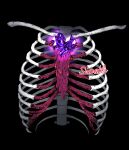  absurdres artist_name black_background bone gem heart-shaped_gem highres no_humans original purple_gemstone ribs simple_background slime_(substance) souramble 