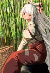  1girl baggy_pants bamboo bamboo_forest bangs basket blush bow closed_mouth collared_shirt commentary_request forest fujiwara_no_mokou grey_hair grey_shirt hair_bow highres juliet_sleeves leaf long_hair long_sleeves looking_back looking_to_the_side mesuosushi_psd multicolored_bow nature ofuda ofuda_on_clothes outdoors pants puffy_long_sleeves puffy_sleeves red_bow red_eyes red_pants rock shirt sitting solo suspenders touhou white_bow 