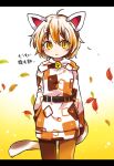  1girl adapted_costume ahoge animal_ears autumn_leaves bangs bell belt black_border blush border breasts brown_belt brown_hair brown_hoodie brown_pants cat_ears cat_tail closed_mouth goutokuji_mike gradient gradient_background hair_between_eyes highres hood hoodie leaf long_sleeves looking_to_the_side medium_breasts multicolored_clothes multicolored_eyes multicolored_hair multicolored_hoodie orange_eyes orange_hair orange_hoodie pants pantyhose paw_print pote_(ptkan) short_hair solo standing tail touhou white_background white_hair white_hoodie yellow_background yellow_eyes 