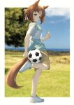  1girl absurdres alternate_costume animal_ears ball blue_shirt blush brown_hair brown_shorts commentary_request fine_motion_(umamusume) green_eyes hair_between_eyes hair_bun highres horse_ears horse_girl horse_tail multicolored_hair pearlscale0818 shirt shoes short_sleeves shorts sneakers soccer_ball solo standing standing_on_one_leg t-shirt tail two-tone_hair two-tone_shirt umamusume white_footwear white_hair white_shirt 