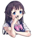  1girl black_hair blue_eyes bow bowtie braid hair_ornament hairclip hand_in_own_hair lolitamomoya nijisanji pink_bow pink_bowtie portrait raised_eyebrows solo tsukino_mito 