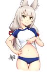  animal_ear_fluff animal_ears belly bloomers clothes_lift hair_ornament hand_on_hip lifted_by_self looking_at_viewer mateus_upd navel nia_(xenoblade) shirt_lift simple_background smile thigh_gap underwear white_background white_hair xenoblade_chronicles_(series) xenoblade_chronicles_2 yellow_eyes 