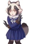  1girl animal_ears blue_skirt blue_sweater blush bow bowtie brown_gloves brown_hair brown_pantyhose commentary_request cowboy_shot crossed_arms fur_collar gloves gundam gundam_suisei_no_majo highres kemono_friends kosai_takayuki long_sleeves multicolored_hair open_mouth orange_eyes pantyhose parody pleated_skirt raccoon_ears raccoon_girl raccoon_tail sailor_collar school_uniform serafuku short_hair skirt solo suletta_mercury sweater tail tanuki_(kemono_friends) two-tone_hair white_bow white_bowtie white_fur white_hair 