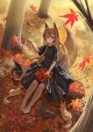  1girl absurdres animal animal_ears autumn autumn_leaves bangs barefoot black_dress brown_hair commentary_request day dress fox fox_ears fox_girl fox_tail hair_between_eyes hand_up highres leaf log maple_leaf original outdoors parted_lips red_eyes short_sleeves silvertsuki sitting solo tail 