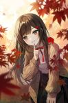  1girl autumn autumn_leaves bangs black_skirt blurry blurry_foreground blush brown_eyes brown_hair brown_jacket cowboy_shot finger_to_mouth forest highres jacket leaf long_hair looking_at_viewer maple_leaf nature open_clothes open_jacket original pleated_skirt plus1024 red_ribbon ribbon school_uniform shiny shiny_hair shirt shushing skirt smile standing sunlight swept_bangs uniform white_shirt 