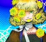  1girl ameya_nihachi bandaged_neck bandages bangs black_shirt blonde_hair blue_background brown_shirt clenched_teeth commentary_request flat_chest flower flower_over_eye green_eyes hair_flower hair_ornament looking_at_viewer mizuhashi_parsee mouth_hold petals_in_mouth pointy_ears shirt short_hair solo teeth thorns touhou undershirt yellow_flower 