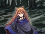 1girl animal_ears artist_request blush brown_hair cloak forest highres holo long_hair looking_at_viewer nature outdoors parted_lips red_eyes solo spice_and_wolf upper_body wolf_ears 