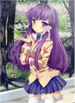  absurdres bonkiru clannad fujibayashi_kyou hair_ribbon highres long_hair purple_hair ribbon school_uniform violet_eyes 