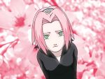  haruno_sakura naruto pink tagme 