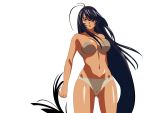  ikkitousen kanu_unchou tagme 