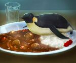  animal_focus bird commentary cup curry curry_rice emperor_penguin food food_focus glass highres ice ice_cube kanopikami no_humans original penguin plate rice 