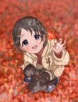  1girl arm_support autumn_leaves bangs black_eyes black_hair black_pantyhose blue_footwear blurry blush brown_shorts brown_sweater commentary depth_of_field dot_nose female_child flat_chest from_above hair_ornament hairclip hand_up highres holding holding_leaf hood hooded_jacket idolmaster idolmaster_cinderella_girls jacket leaf leaf_hair_ornament legs long_sleeves looking_at_viewer megabee_e open_mouth pantyhose rabbit_hair_ornament sasaki_chie shoes short_hair shorts smile sneakers solo squatting sweater symbol-only_commentary thighs white_jacket zipper 