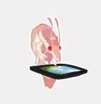  animal commentary drawing_tablet english_commentary full_body grey_background holding holding_stylus lowres no_humans original outline red_eyes shrimp simple_background solo stylus tmdease white_outline 