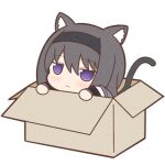  1girl akemi_homura animal_ears black_hair black_hairband blush box cardboard_box cat_ears cat_girl cat_tail chibi closed_mouth frown hairband in_box in_container long_hair long_sleeves lowres mahou_shoujo_madoka_magica solo tail violet_eyes yuno385 