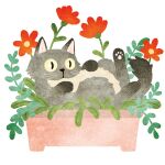  animal_focus cat flower flower_pot grey_cat in_container leaf looking_at_viewer lying no_humans no_lineart on_back original plant potted_plant red_flower sh0wk0 simple_background slit_pupils solo white_background 