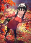  1girl arm_behind_back autumn autumn_leaves bag bangs bare_shoulders black_hair black_pantyhose breasts brown_footwear closed_mouth collarbone day dress dutch_angle food from_above full_body hairband highres holding holding_bag kantoku long_sleeves looking_at_viewer looking_up medium_breasts off-shoulder_sweater off_shoulder outdoors pantyhose paper_bag red_eyes red_sweater shoes short_hair_with_long_locks sidelocks solo spy_x_family standing sweater sweater_dress vegetable white_hairband yor_briar 