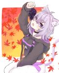 1girl absurdres ahoge ame_to_ame animal_ear_fluff animal_ears autumn_leaves baggy_pants black_hoodie breasts cat_ears cat_girl cat_tail fang food fruit grapes highres hololive hood hood_down hoodie leaf long_sleeves maple_leaf nekomata_okayu open_mouth pants purple_eyes purple_hair short_hair solo tail violet_eyes virtual_youtuber white_pants