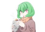 1girl :t bangs blush breath bright_pupils brown_coat chewing closed_mouth coat commentary_request eating foil food green_hair hair_between_eyes hands_up highres holding holding_food kazami_yuuka long_sleeves looking_at_viewer m3_(gardevoir_m3) orange_scarf original red_eyes scarf short_hair sidelocks simple_background solo steam sweet_potato upper_body white_background white_pupils winter_clothes yakiimo
