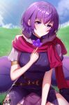  1girl artist_name blush breasts dress fire_emblem fire_emblem:_new_mystery_of_the_emblem flower gao_kawa highres holding holding_flower katarina_(fire_emblem) large_breasts looking_at_viewer purple_dress purple_eyes purple_flower purple_hair scarf short_hair short_sleeves smile solo sunlight violet_eyes zettai_ryouiki 