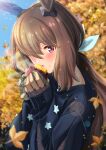 1girl admire_vega_(umamusume) animal_ears autumn_leaves blue_butterfly blurry blurry_background blush brown_hair bug butterfly butterfly_hair_ornament commentary_request depth_of_field eating food hair_ornament highres horse_ears horse_girl insect leaf long_hair looking_at_viewer maple_leaf otono_(bkt4b) ponytail portrait solo sweet_potato umamusume violet_eyes yakiimo