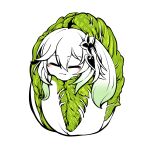 1girl bangs blush cabbage closed_eyes food genshin_impact green_hair hair_between_eyes hair_ornament hairclip highres long_hair monster_girl multicolored_hair nahida_(genshin_impact) safe side_ponytail simple_background smile solo uncolorcube vegetable white_background white_hair