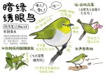 animal animal_focus bird chinese_commentary chinese_text closed_mouth commentary flower full_body garlica highres multiple_views no_humans open_mouth original pink_flower safe simple_background speech_bubble translation_request white_background