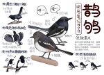 animal animal_focus bird black_eyes chinese_commentary chinese_text closed_mouth commentary flying from_side full_body garlica highres multiple_views music musical_note no_humans open_mouth original safe simple_background singing speech_bubble translation_request white_background