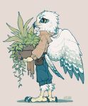 1boy artist_name beak bird_boy bird_legs bird_tail bird_wings black_eyes blue_pants brown_jacket carrying colored_sclera feathered_wings feathers from_side full_body furry furry_male gradient gradient_background grey_background highres holding holding_plant jacket leaf long_sleeves male_focus original owl_boy pants plant potted_plant pouch profile shuini_xiaomao signature simple_background solo standing tail talons white_feathers wings yellow_sclera