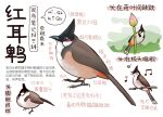 animal animal_focus bird black_eyes chinese_commentary chinese_text closed_mouth commentary flower from_side full_body garlica highres multiple_views music musical_note no_humans open_mouth original pink_flower safe simple_background singing speech_bubble translation_request white_background